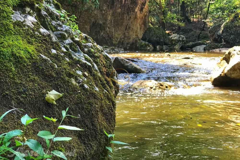 رودخانه کسیلیان سوادکوه | علاءالدین تراول