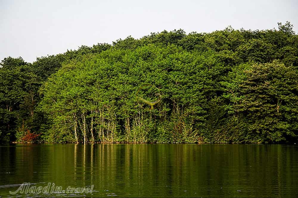 سد سنبل رود در سوادکوه | علاءالدین تراول