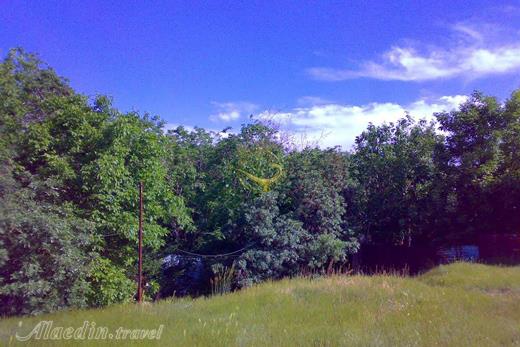 روستای ولیان ساوجبلاغ