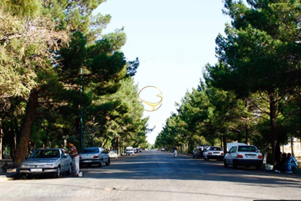 پارک جنگلی سوکان در سمنان | علاءالدین تراول