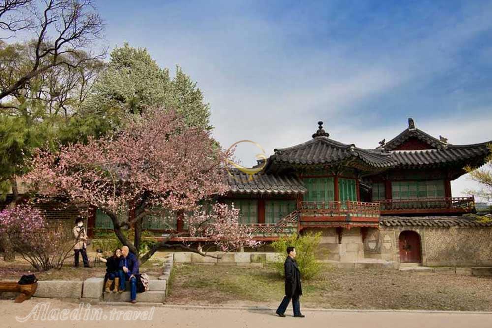 کاخ چانگ دیوک گونگ سئول - کره جنوبی | علاءالدین تراول