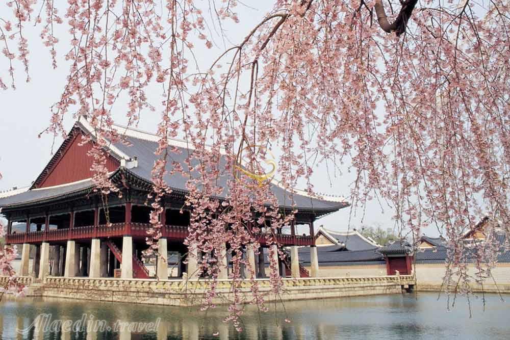 کاخ گیونگ بوک گانگ سئول | علاءالدین تراول