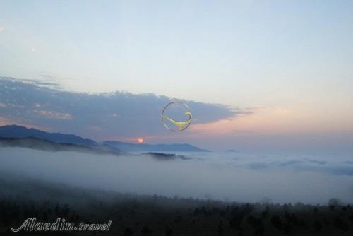 جنگل قطری شاهرود