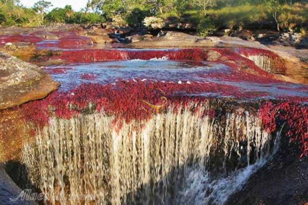 چشمه هفت رنگ شهر مجن در شاهرود | علاءالدین تراول