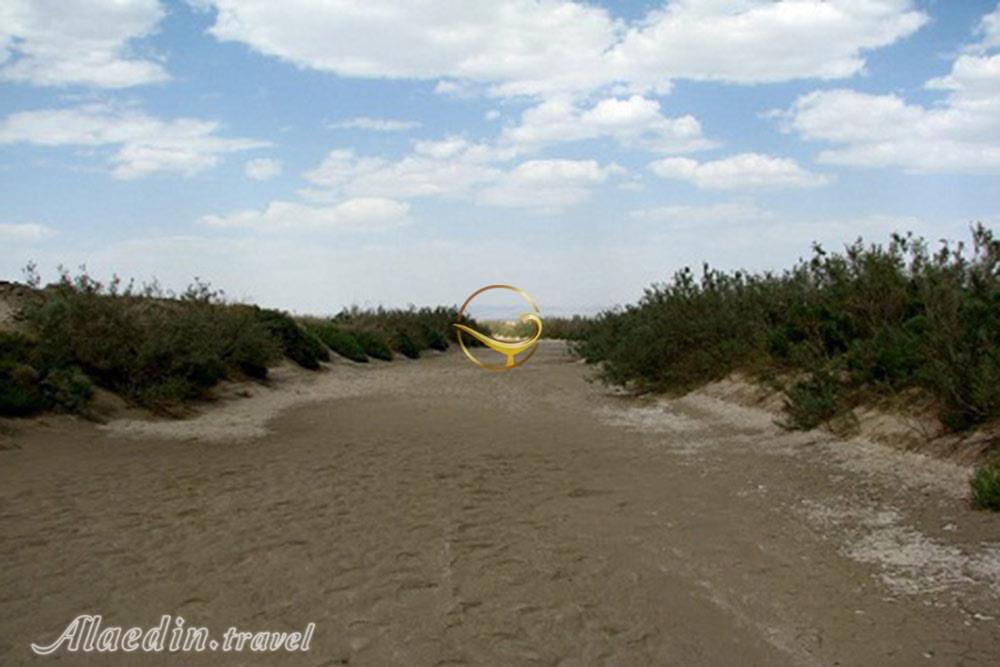 پناهگاه حیات وحش توران در شاهرود | علاءالدین تراول