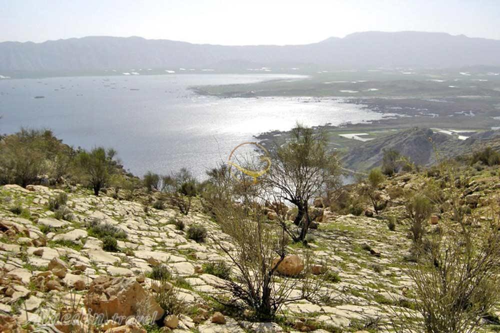 منطقه حفاظت شده ارژن شیراز | علاءالدین تراول