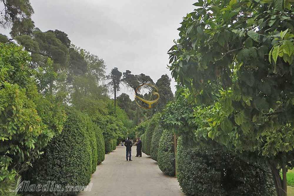 درختان باغ ارم شیراز - باغ های ایرانی | علاءالدین تراول