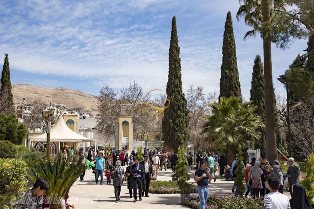 باغ ارم شیراز - باغ های ایرانی | علاءالدین تراول