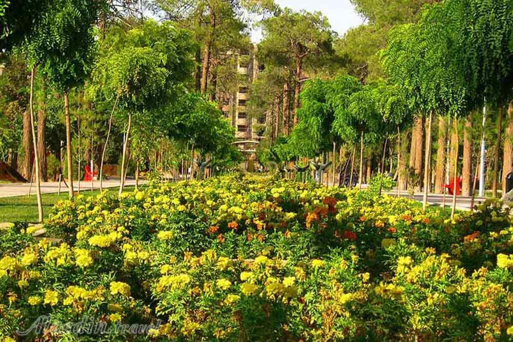 باغ جنت شیراز | علاءالدین تراول