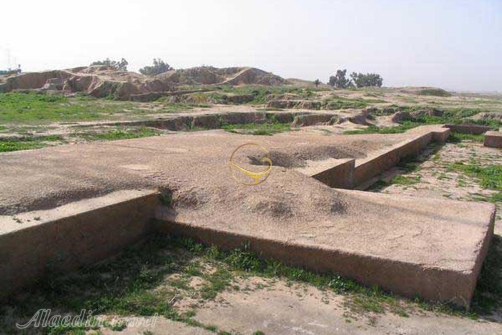 کاخ شاوور شوش | علاءالدین تراول