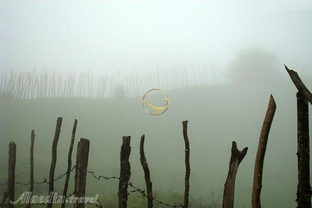 جنگل اسپیلی سیاهکل | علاءالدین تراول