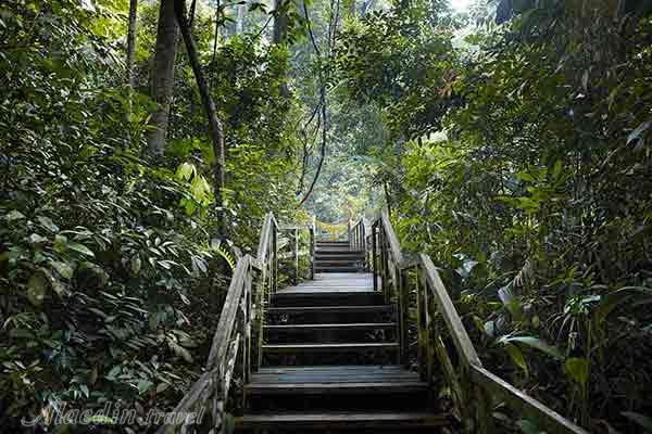 منطقه محافظت شده بوکیت تیما - سنگاپور