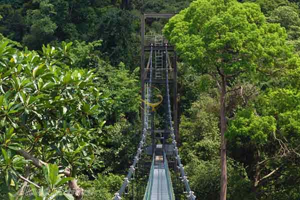 جزیره پولا اوبین سنگاپور