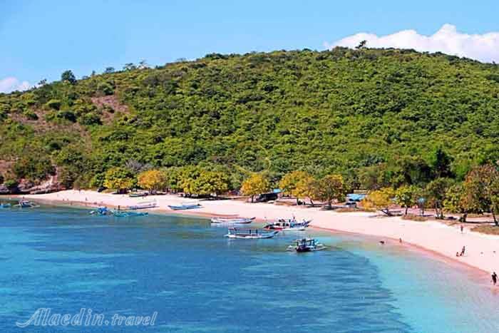 سواحل سوچی روسیه