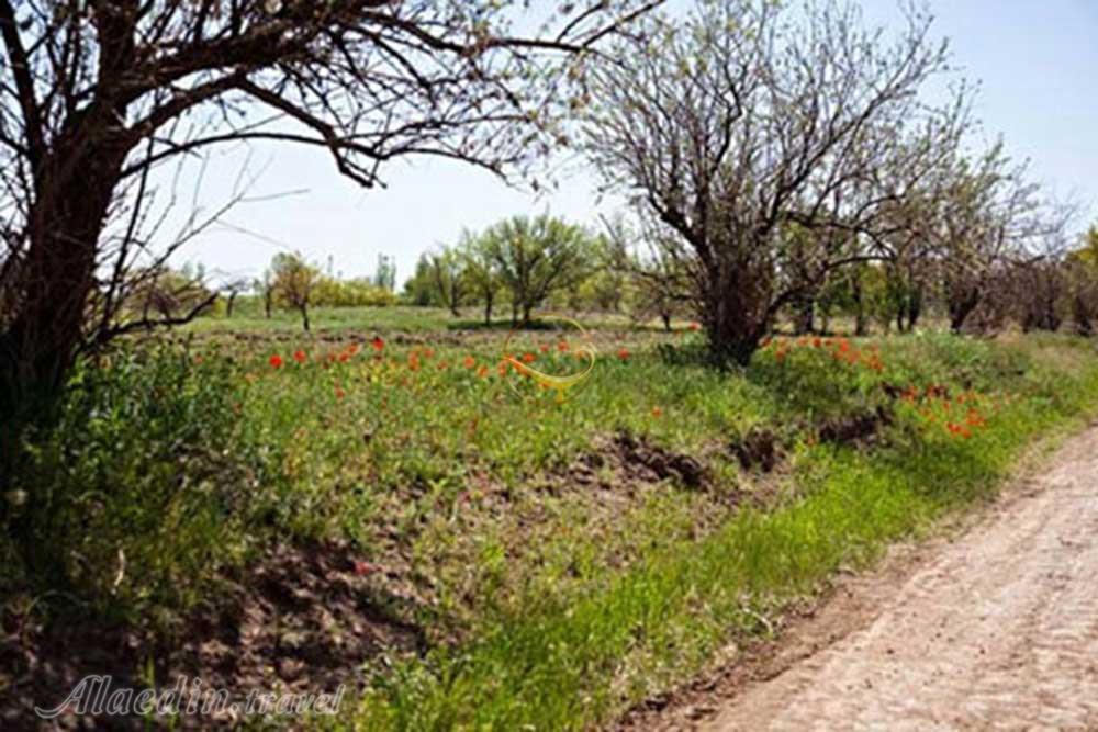 روستای ویر در سلطانیه	| علاءالدین تراول