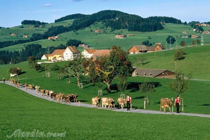 روستای آپنزل در سنت گالن - سوئیس