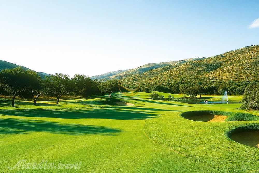 باشگاه گلف گری پلیر سان سیتی | علاءالدین تراول