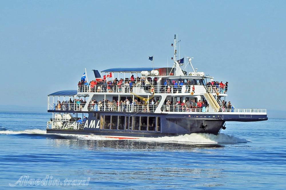 تماشای نهنگ ها در تادوساک - کانادا | علاءالدین تراول