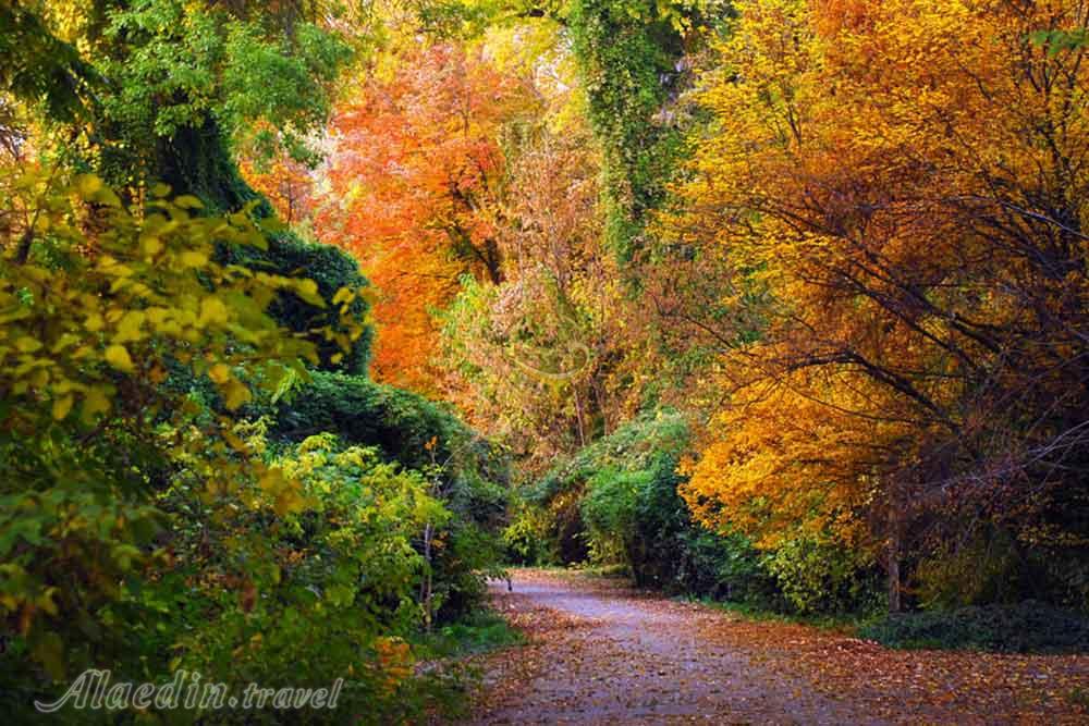 باغ گیاه شناسی تاشکند ازبکستان | علاءالدین تراول