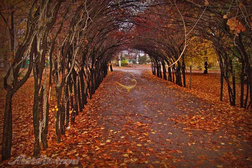 باغ گیاه شناسی تاشکند ازبکستان | علاءالدین تراول