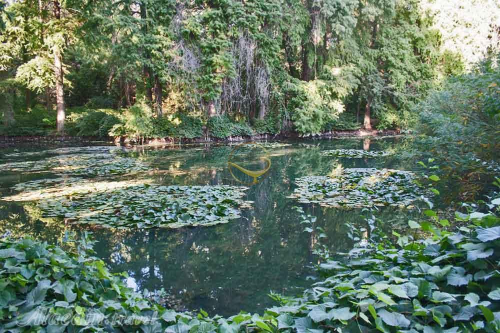 باغ گیاه شناسی تاشکند ازبکستان | علاءالدین تراول