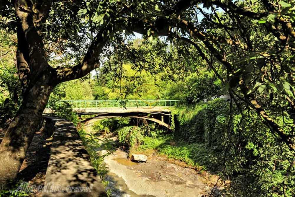 باغ گیاهشناسی ملی گرجستان در تفلیس | علاءالدین تراول