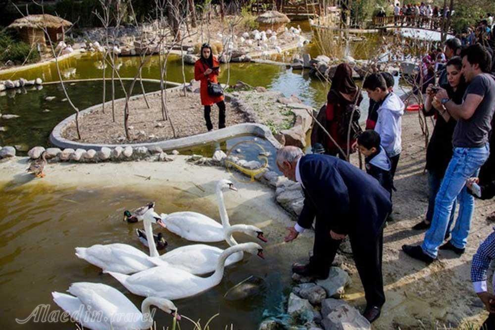 باغ پرندگان تهران | علاءالدین تراول