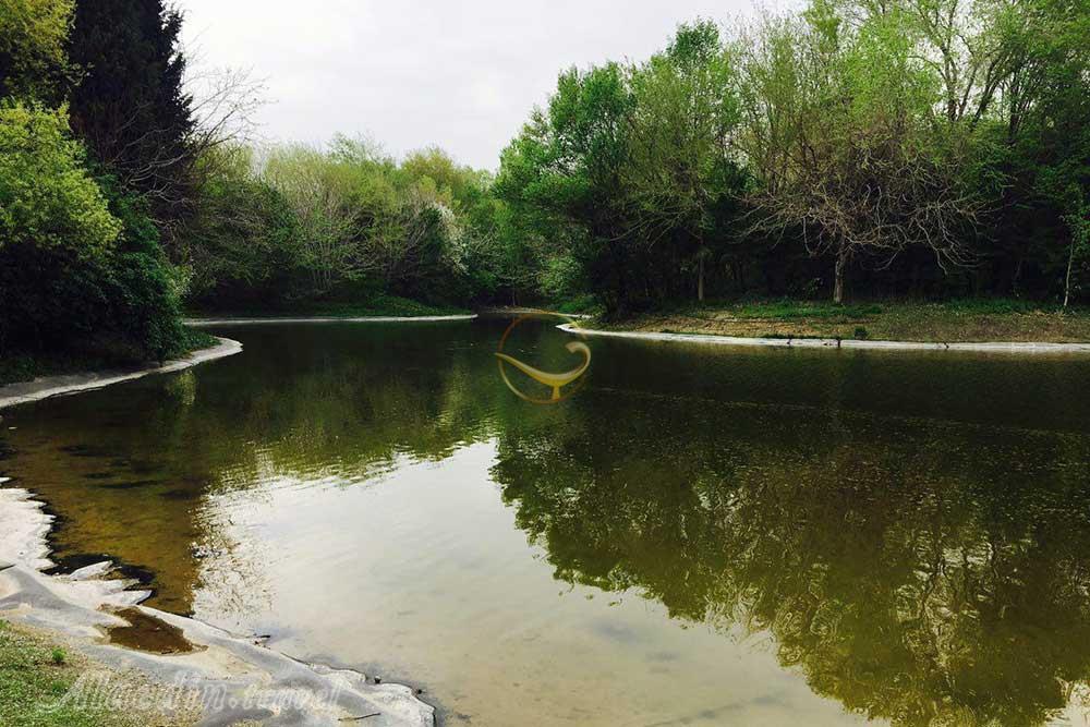 باغ گیاه‌شناسی تهران | علاءالدین تراول