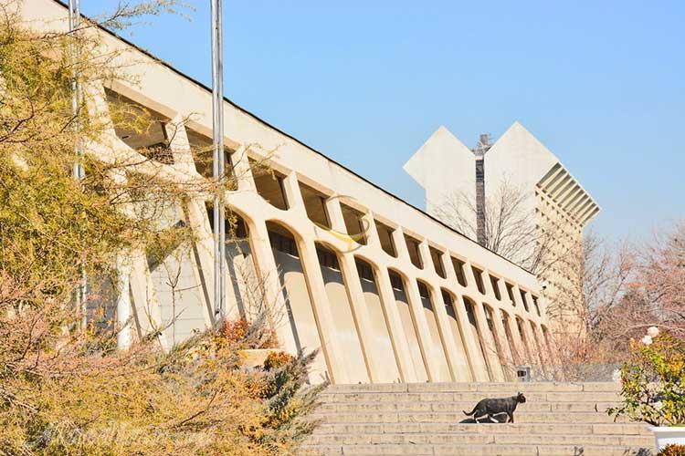 موزه فرش ایران در تهران | علاءالدین تراول