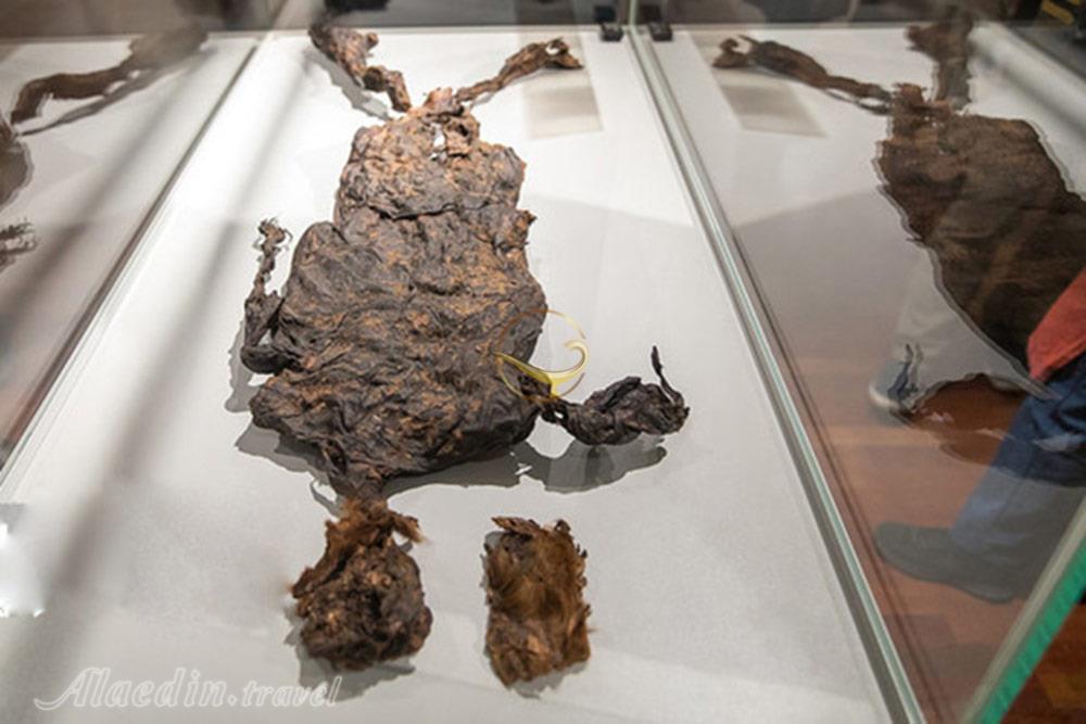 نمایشگاه هلند موزه ملی ایران | علاءالدین تراول