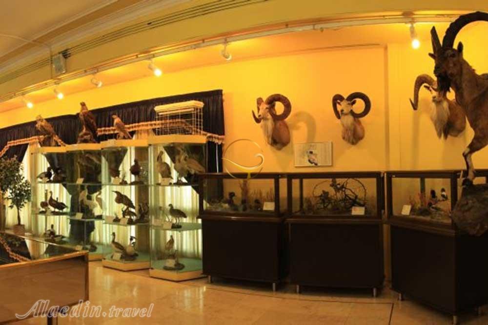 موزه طبیعت و حیات وحش ایران دارآباد در تهران | علاءالدین ترا