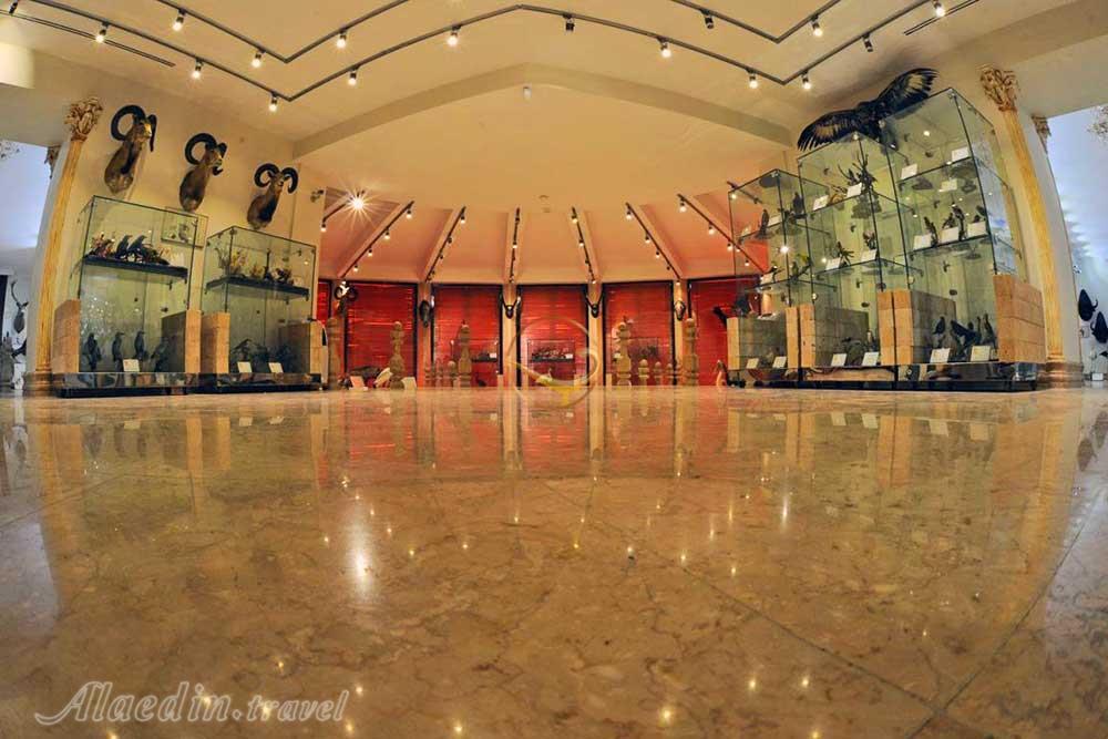 موزه طبیعت و حیات وحش ایران دارآباد در تهران | علاءالدین ترا