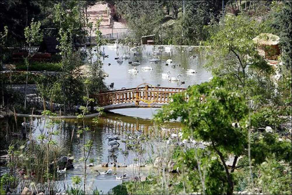 پارک جنگلی لویزان تهران | علاءالدین تراول