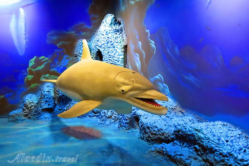 اقیانوس پارک | علاءالدین تراول