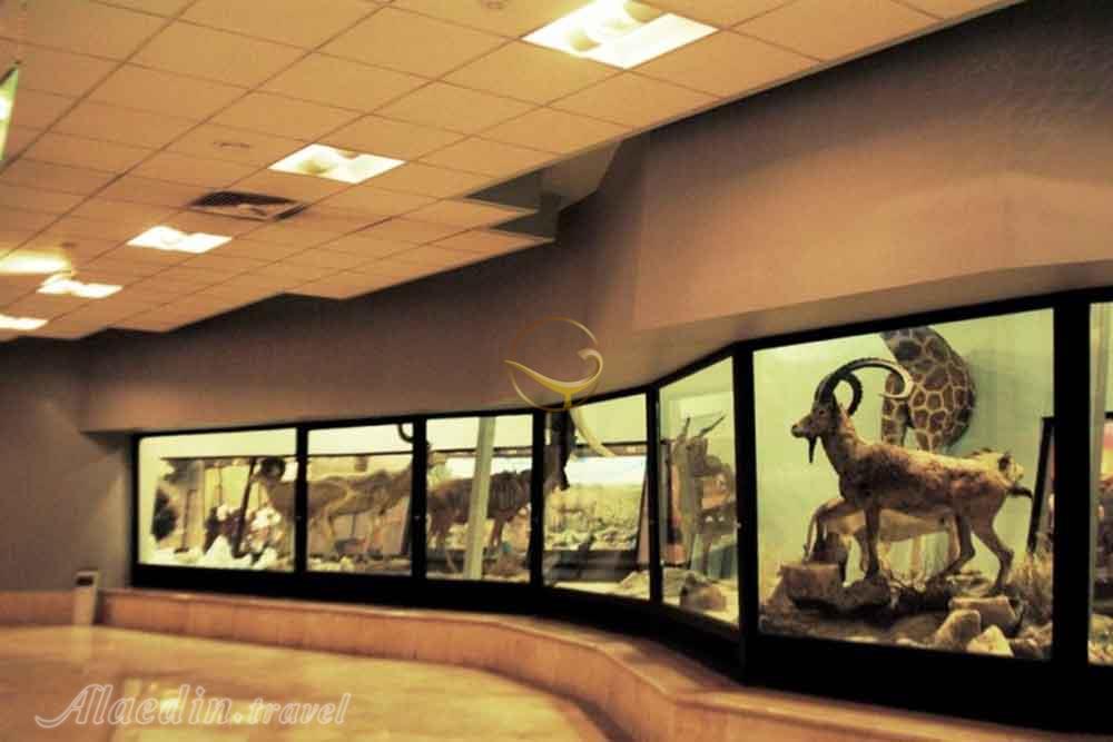 موزه تنوع زیستی پردیسان در تهران | علاءالدین تراول