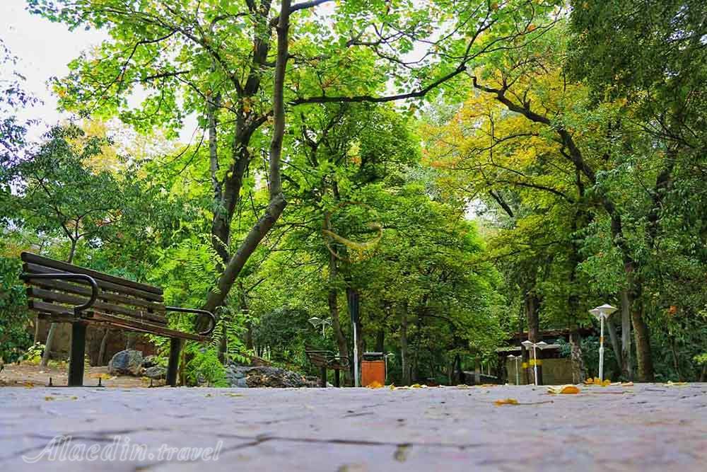 بوستان قیطریه تهران | علاءالدین تراول