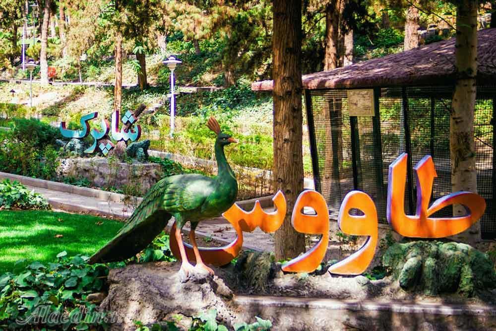 پارک ساعی تهران | علاءالدین تراول