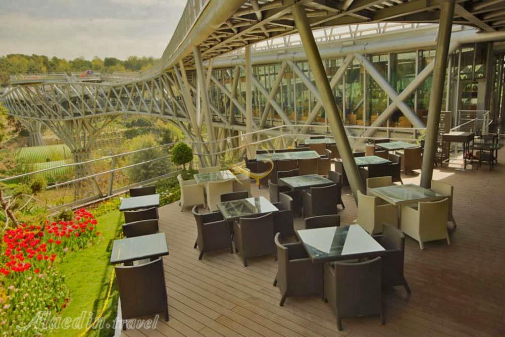 پل طبیعت تهران | علاءالدین تراول