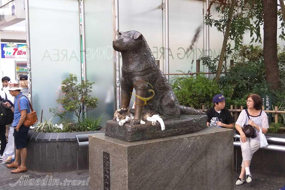 مجسمه‌ی هاچیکو توکیو - ژاپن | علاءالدین تراول