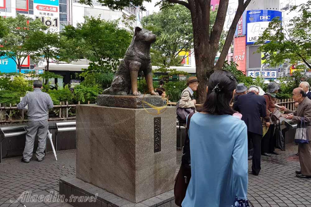 مجسمه‌ی هاچیکو توکیو - ژاپن | علاءالدین تراول