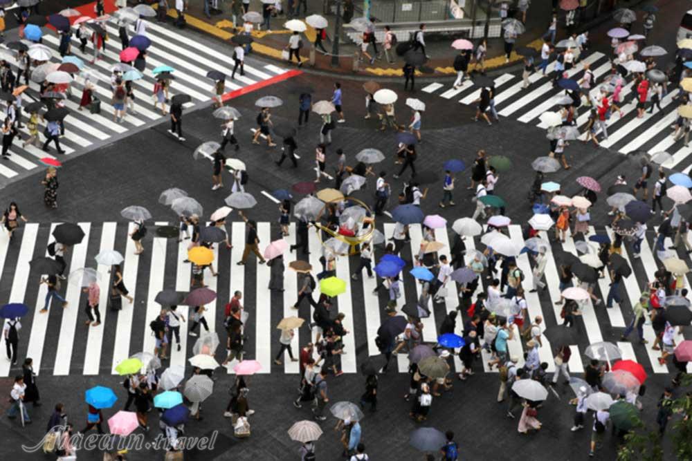 چهارراه شیبویا توکیو - ژاپن | علاءالدین تراول