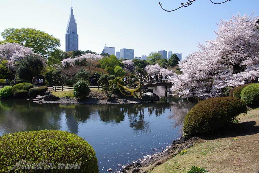 پارک ملی شینجوکو گیوئن توکیو - ژاپن | علاءالدین تراول