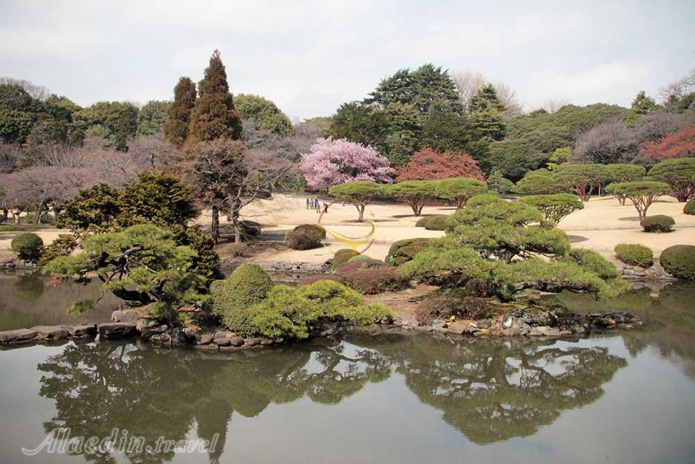 پارک ملی شینجوکو گیوئن توکیو - ژاپن | علاءالدین تراول