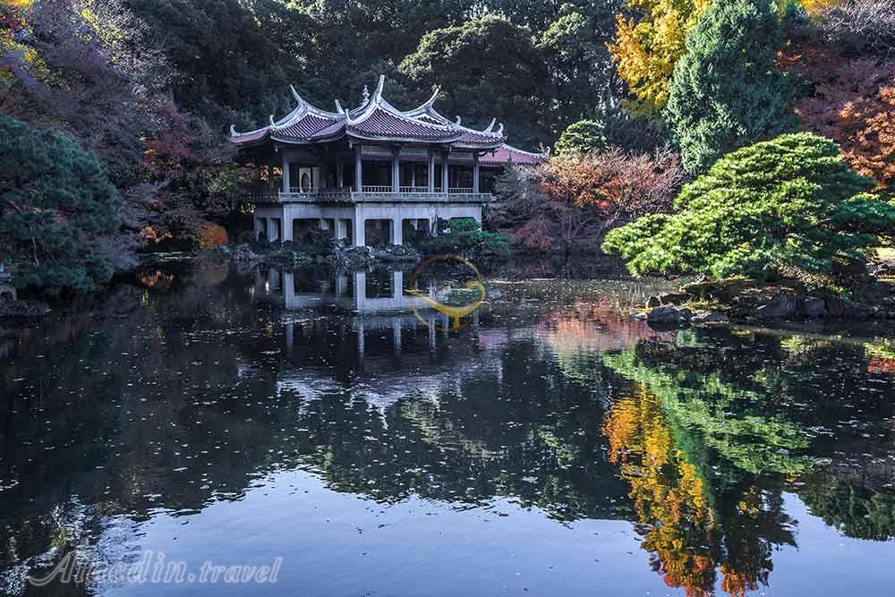 پارک ملی شینجوکو گیوئن توکیو - ژاپن | علاءالدین تراول