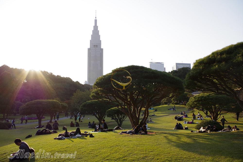 پارک ملی شینجوکو گیوئن توکیو - ژاپن | علاءالدین تراول