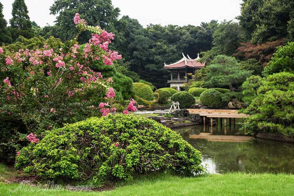 پارک ملی شینجوکو گیوئن توکیو - ژاپن | علاءالدین تراول