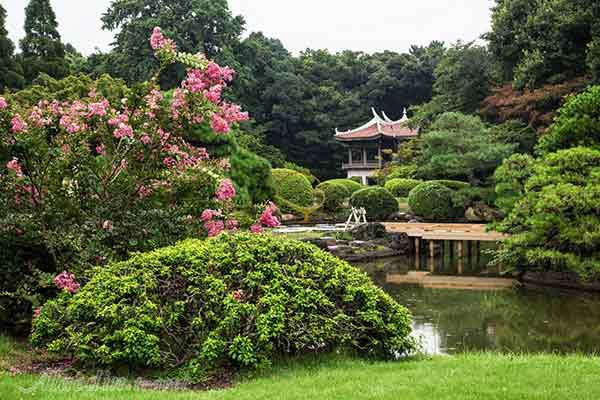 پارک ملی شینجوکو گیوئن توکیو - ژاپن