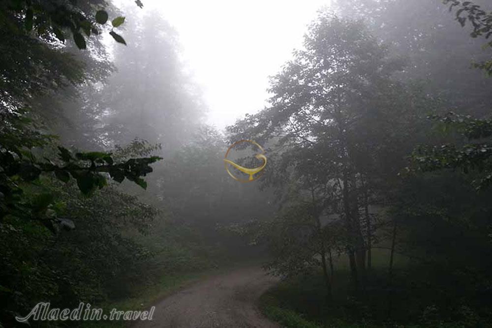 ییلاق آغوزحال تنکابن | علاءالدین تراول