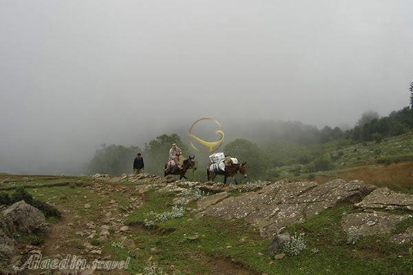 ییلاق آغوزحال تنکابن