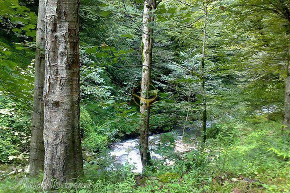 آبگرم فلکده تنکابن | علاءالدین تراول